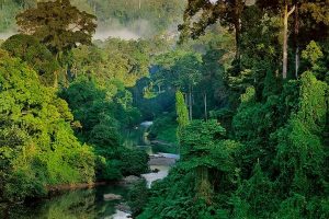 Corcovado National Park