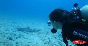 Discover Scuba Diving PADI Costa Rica