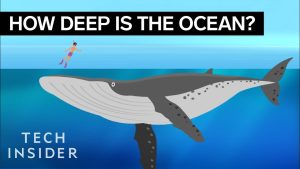 How Deep is the Ocean Video