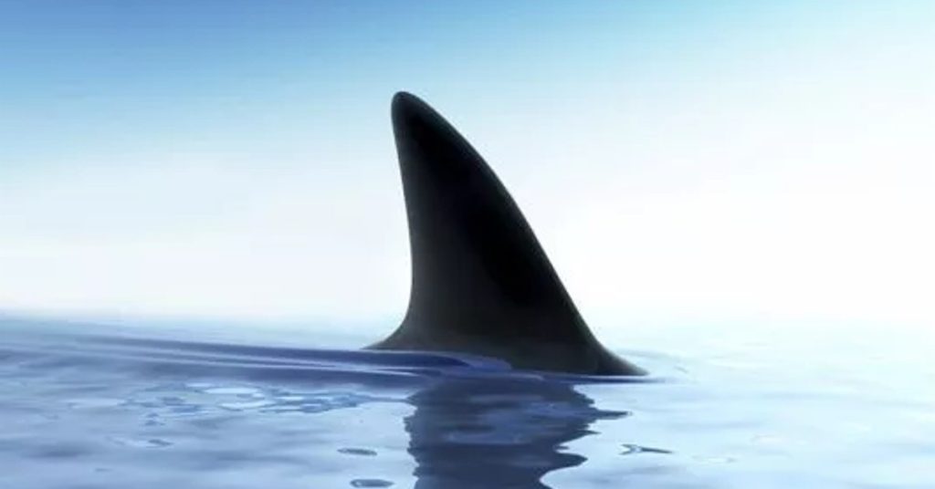 10 things deadlier than sharks