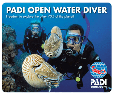 Curso Open Water Diver para estudiantes de la UCR