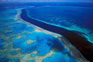3 great diving destinations in 2019 for any diver