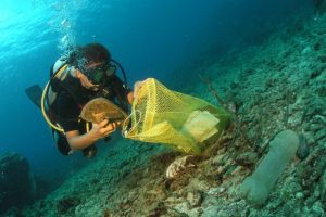 Group of Divers attemp guiness record in Ocean Cleanup