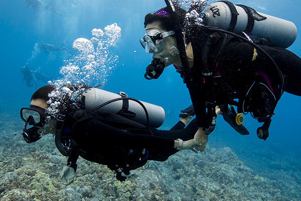 Dive with skilled buddy