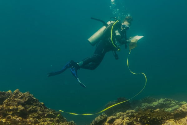 Bióloga Marina toma mediciones en la isla del caño