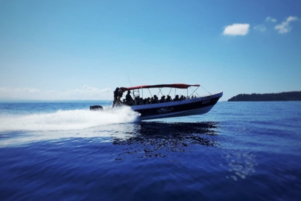 Bote la diabla navegando. El mejor bote para viajar a la Isla del Caño