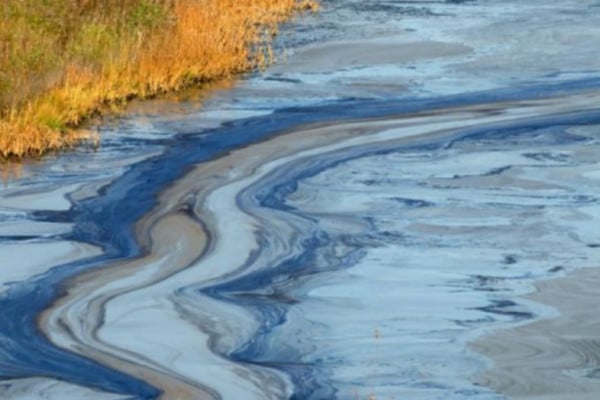 Tóxico vertido al río