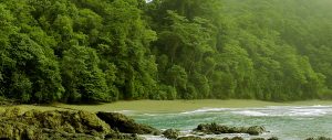 Corcovado National Park Tour in Costa Rica