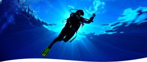 PADI Divemaster certification