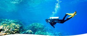 PADI Open Water Certification
