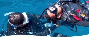 PADI Rescue Diver course two divers