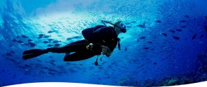 Scuba Diving in Costa Rica