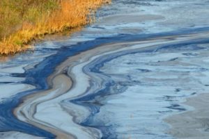 Toxic spilled into the river