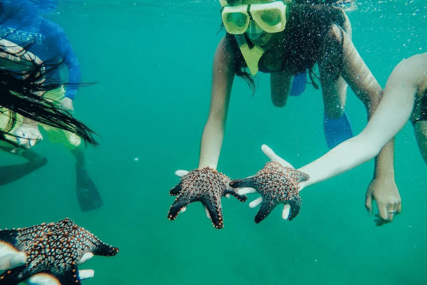 Cosas que no debes hacer al practicar snorkel