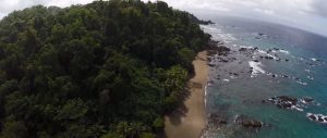 Tour de Snorkeling Isla del Caño