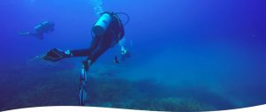 Tour de buceo Parque Marino Ballena