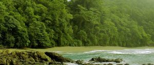 Tour parque nacional corcovado