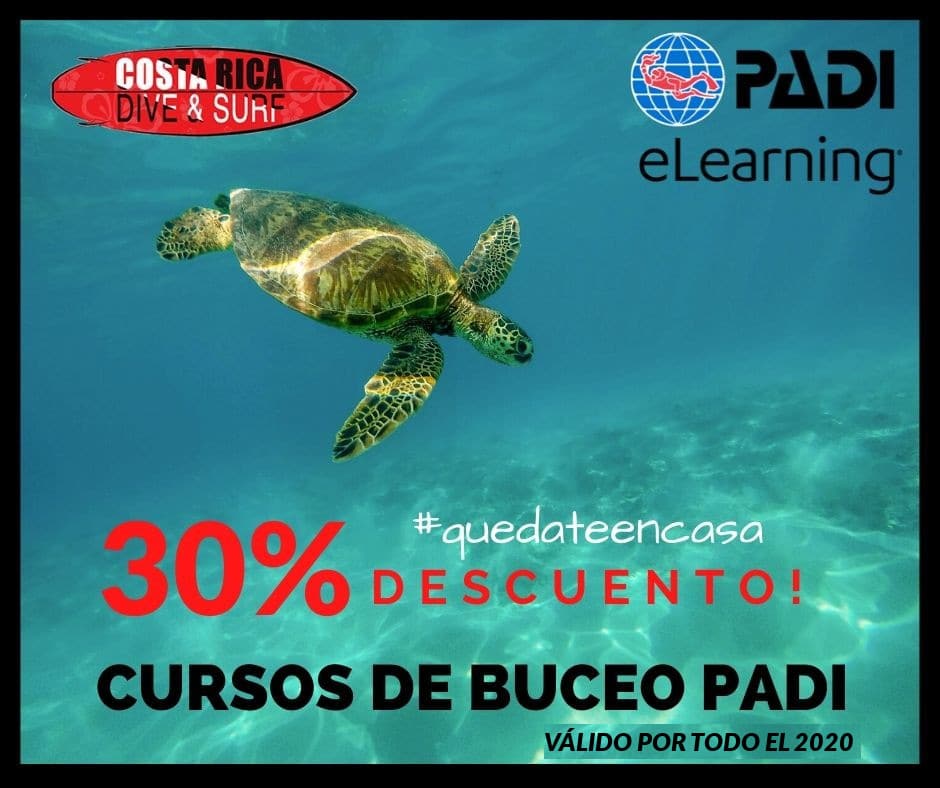 Cursos PADI online con descuento