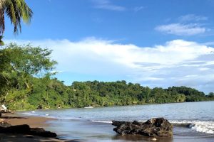 Drake Bay Costa Rica rock