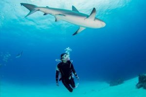 scuba diving in costa rica -caño island