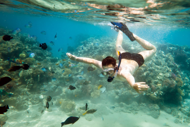 Snorkeling in Costa Rica