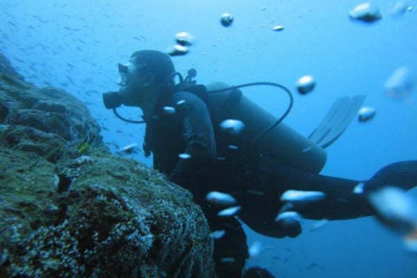 Buceo en Isla Gorgona