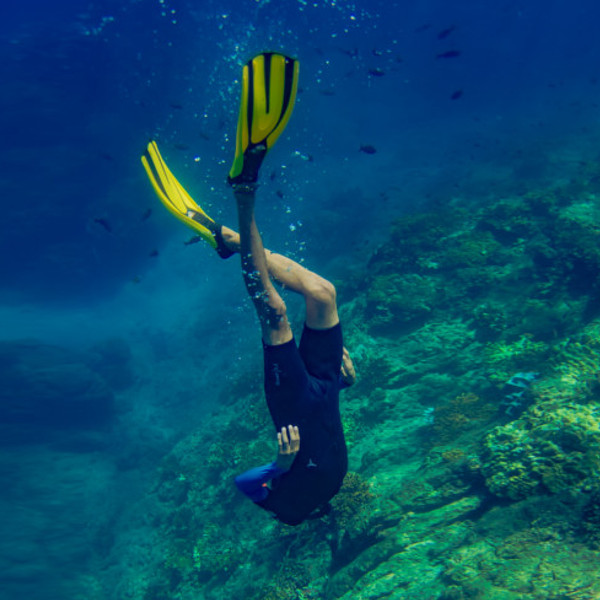 Caño Island Snorkeling Tour (All Nationalities) Scuba Diving Costa Rica