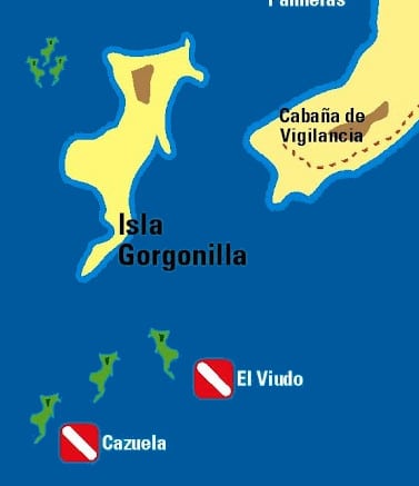 El viudo, Isla Gorgona
