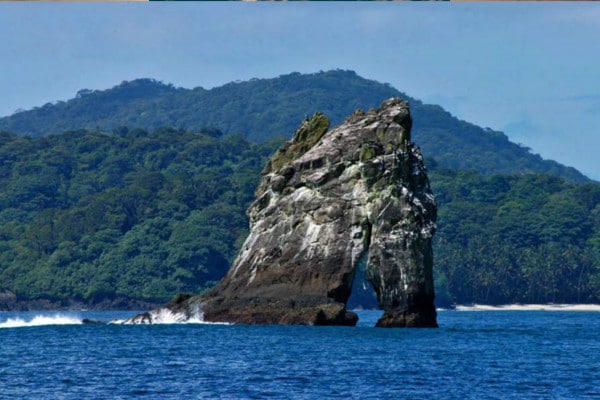 El viudo Isla Gordona