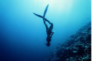 Free diving en Malpelo