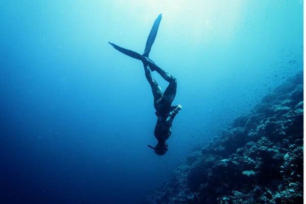 Free diving en Malpelo