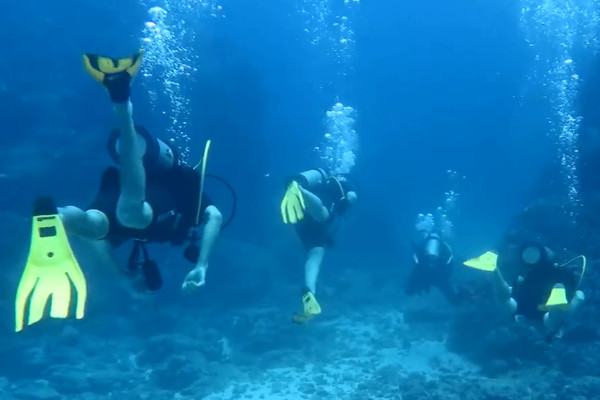 Divers at Caño Island north pinnacle