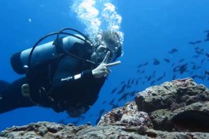 Scuba Diving Blog