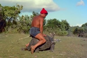 Jacques Cousteau Team member riding a tortoise.