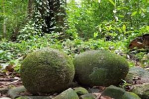 Esferas de Piedra encontradas en La Isla del Caño