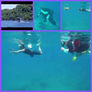 Buceando en aguas de la Isla del caño
