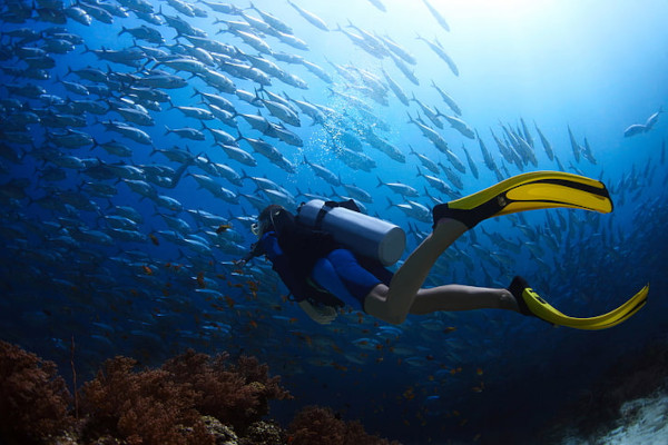 Diving with shorty wetsuit