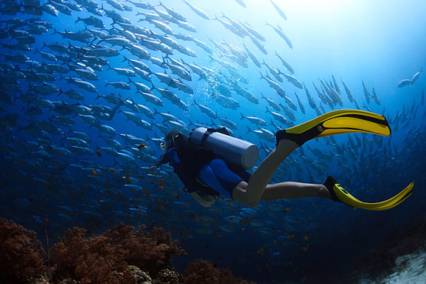 Diving with shorty wetsuit