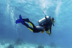 Scuba diver wearing a complete wetsuit