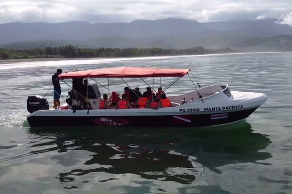 Whale watching tour boat