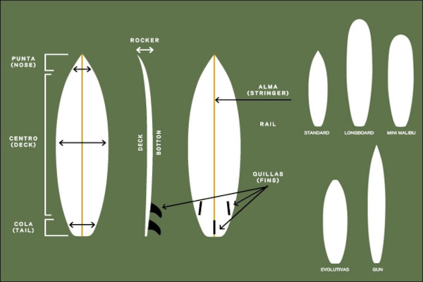 Parts of the surf board