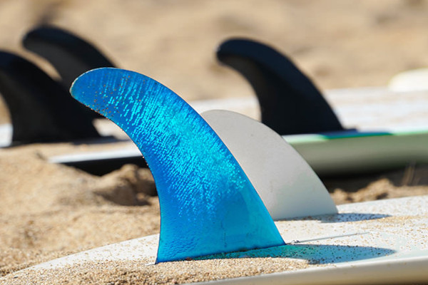 tips to learn surf- The fins on the board