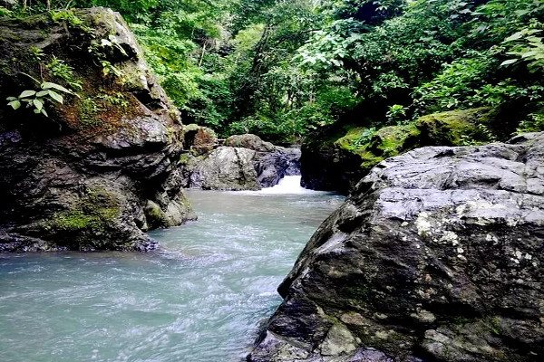 Tigre river Corcovado