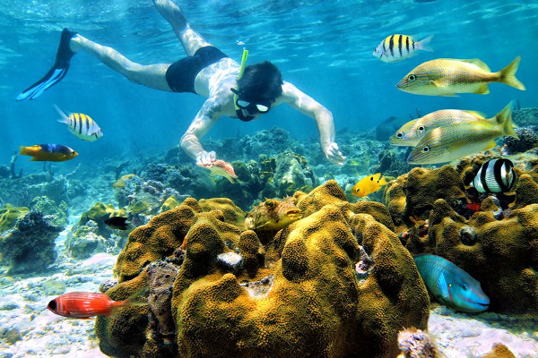 cano island snorkeling tour from manuel antonio