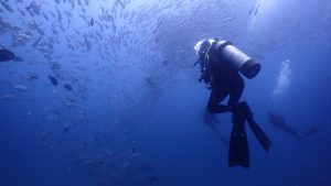 Scuba diving in Costa Rica and Caño Island
