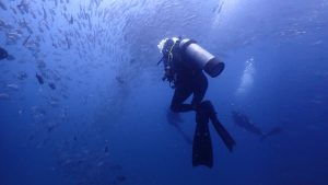 Scuba Diving in Costa Rica diver Caño Island
