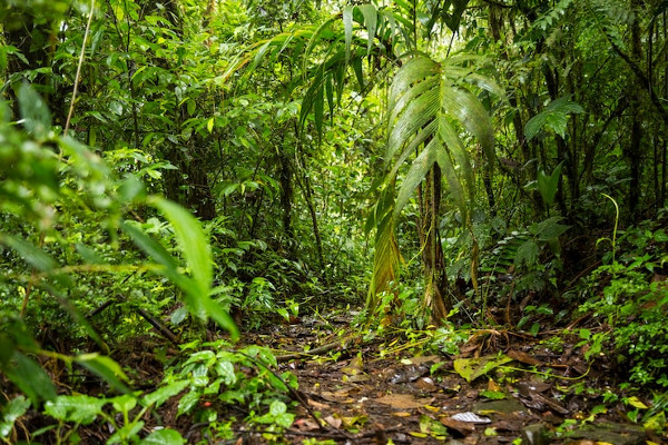 Costa Rica Naturaleza