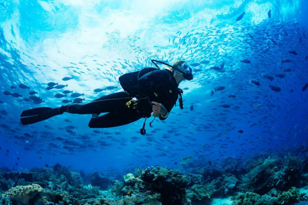 Descrubre los beneficios del buceo Buzo observando a cientos de peces nadando a su alrededor