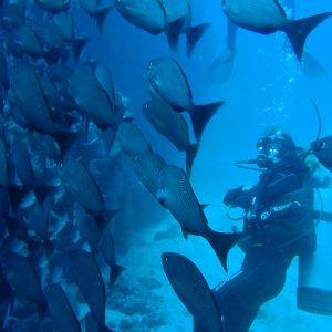Scuba Diving Tour Isla del Caño