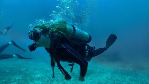 costa rica dive and surf woman surfer